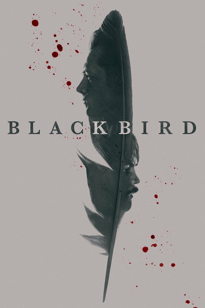 Чёрная птица (2022) 